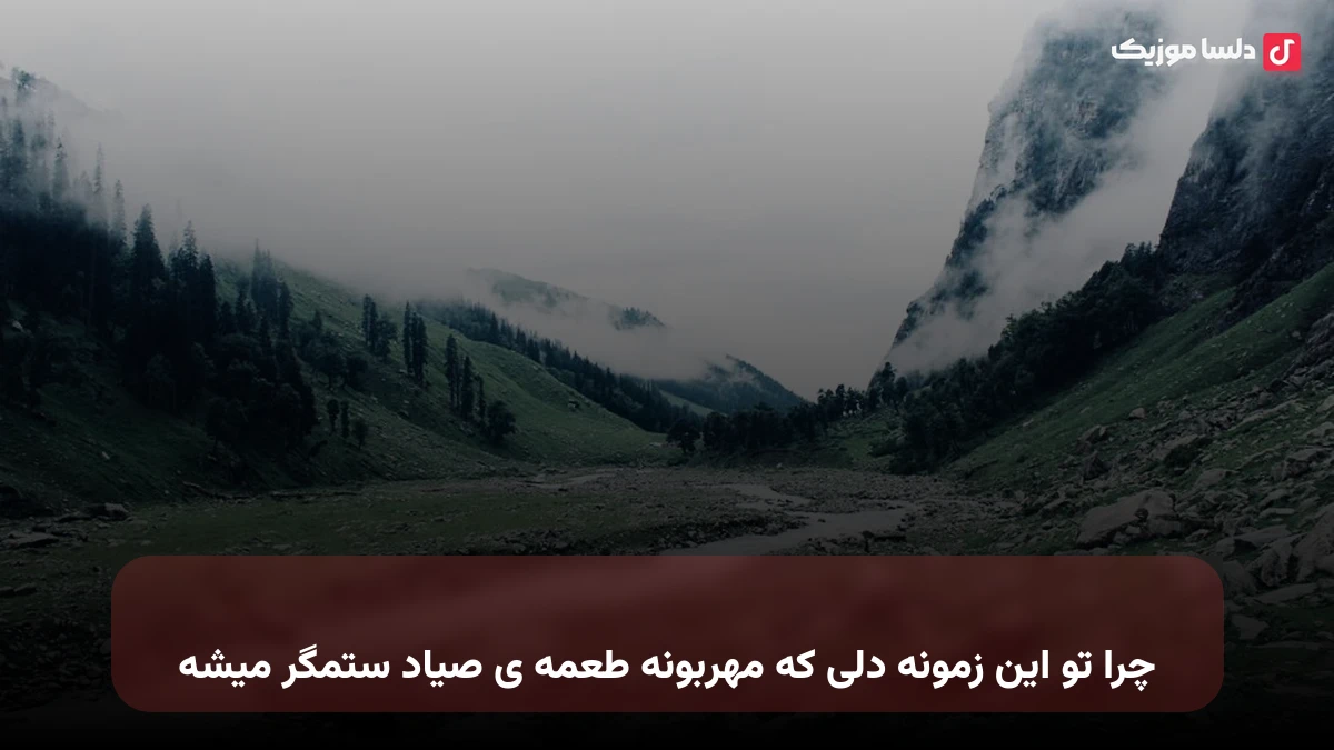 چرا تو این زمونه دلی که مهربونه طعمه ی صیاد ستمگر میشه